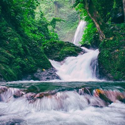 国际深一度：美联储降息靴子落地，美元霸权又要把“祸水”引向全球？